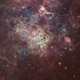 Illustration for article titled Ghostly Nebulae Haunt the Skies